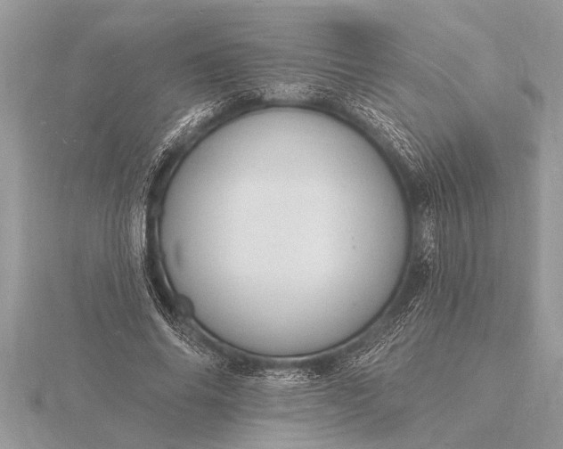X0000116130686200912071223