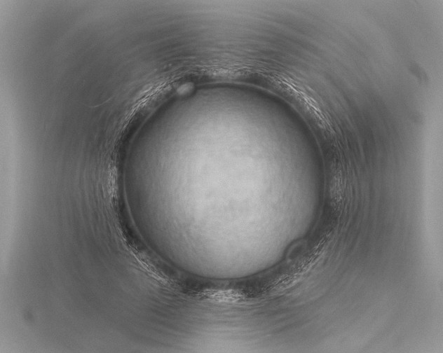 X0000116130689200912071223