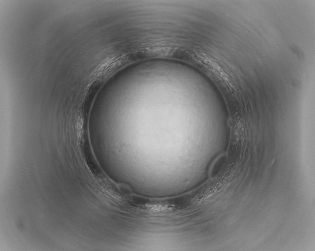 X0000116130693200912071223