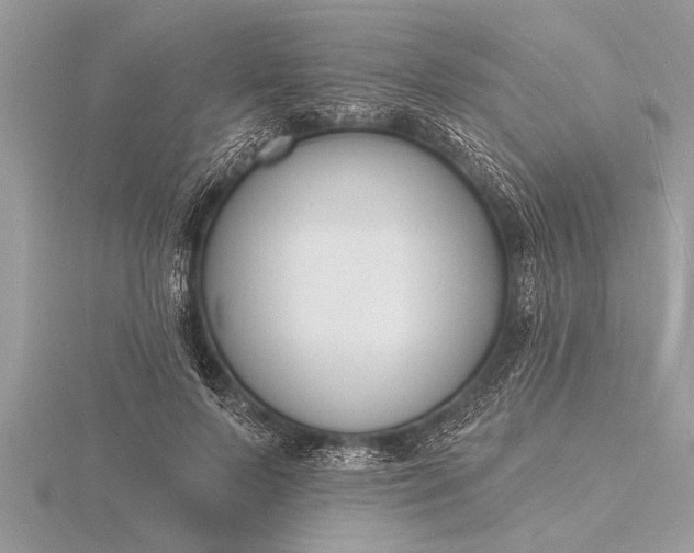 X0000116130695200912071223