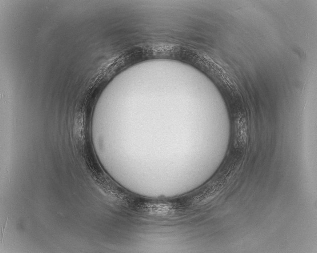 X0000116130698200912071223