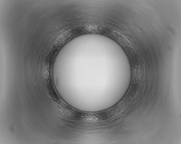 X0000116130702200912071223