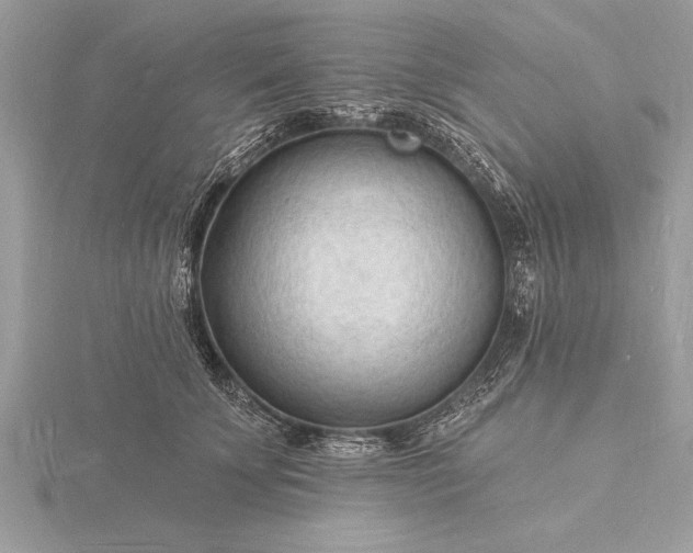 X0000116130707200912071222