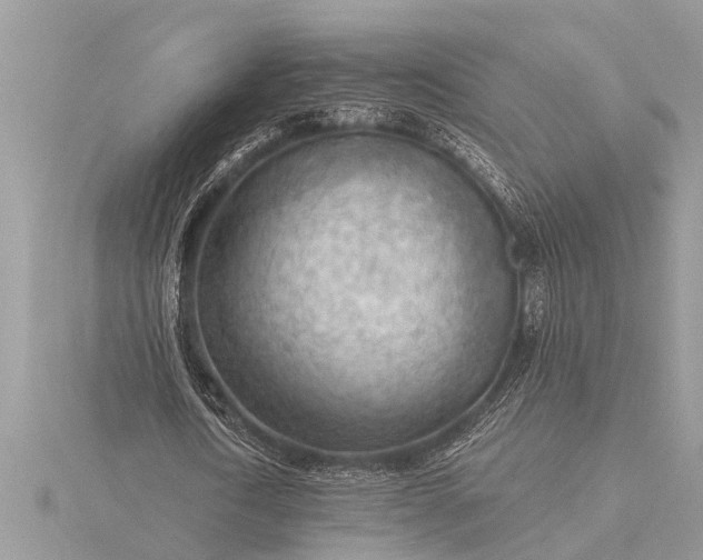 X0000116130722200912071222