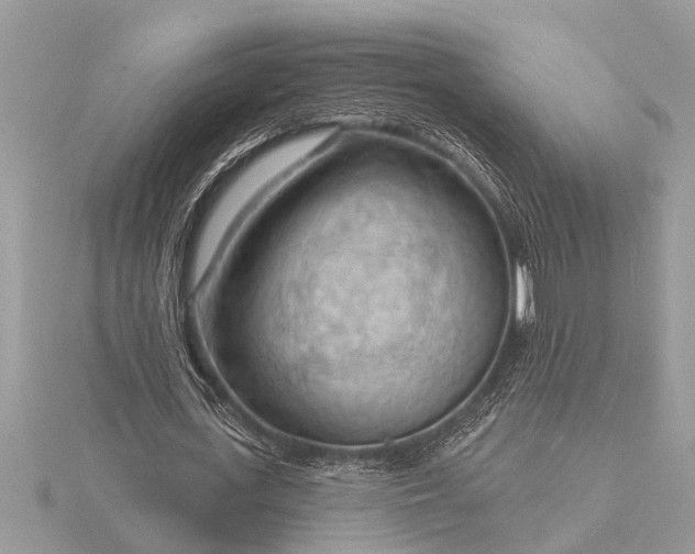 X0000116130723200912071222