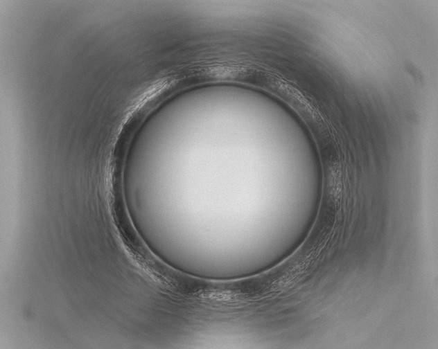 X0000116130730200912071222