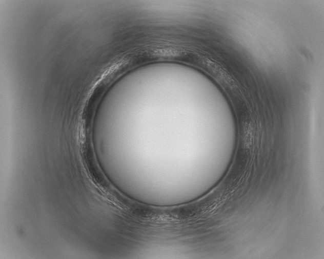 X0000116130731200912071222