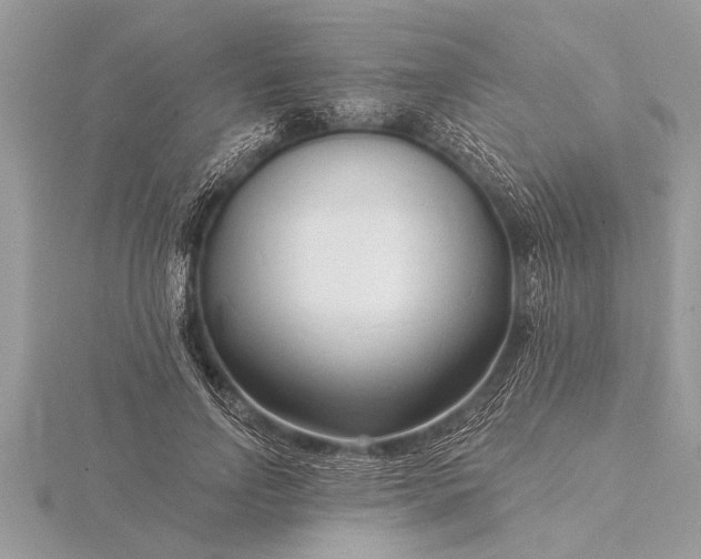 X0000116130742200912071222