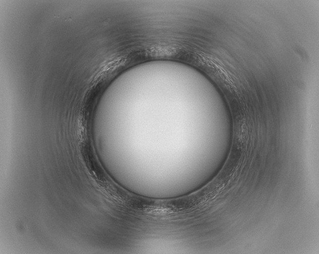 X0000116130743200912071222