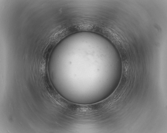 X0000116130745200912071222