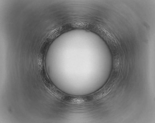 X0000116130749200912071222