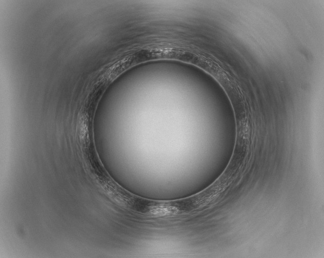 X0000116130754200912071222