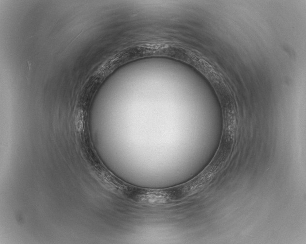 X0000116130758200912071222