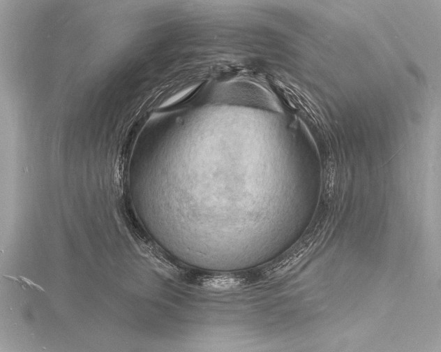 X0000116130759200912071222