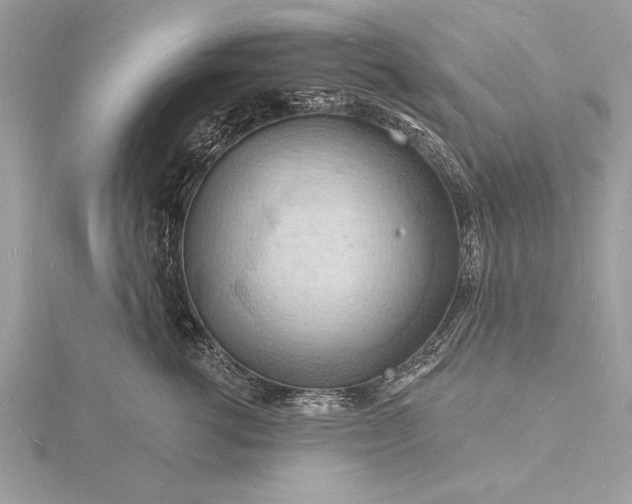 X0000116130762200912071222