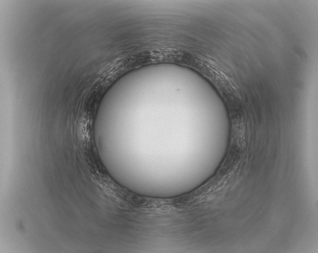 X0000116130770200912071222