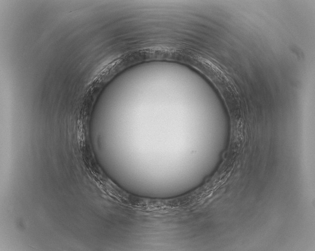 X0000116130774200912071222