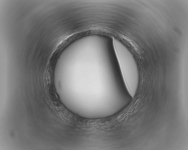 X0000116130776200912071222