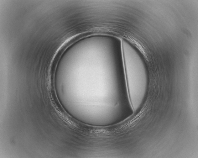 X0000116130784200912071221