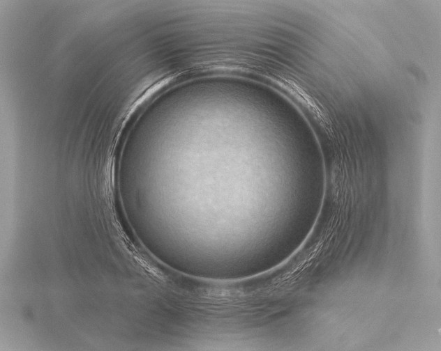 X0000116130790200912071221