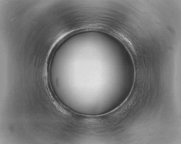 X0000116130792200912071221