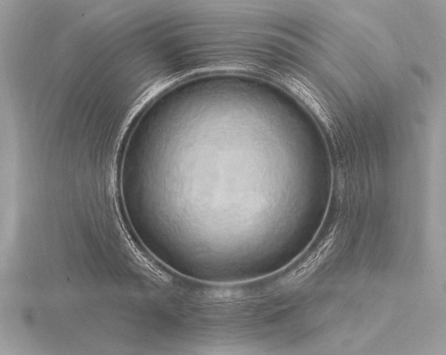X0000116130797200912071221