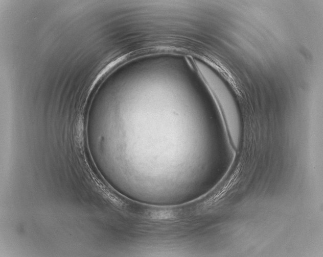 X0000116130798200912071221