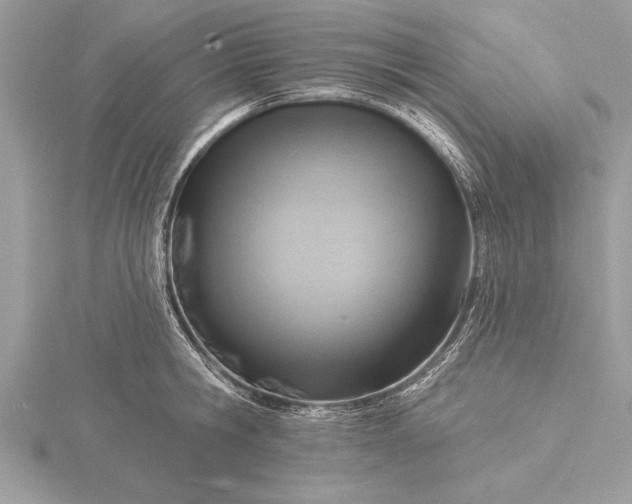 X0000116130806200912071221