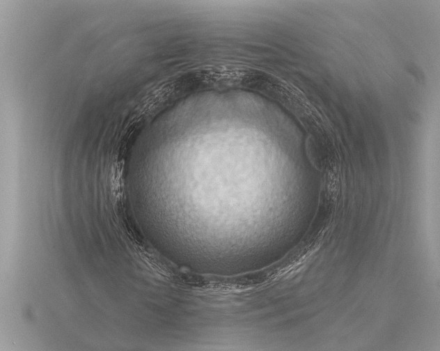 X0000116130818200912071220