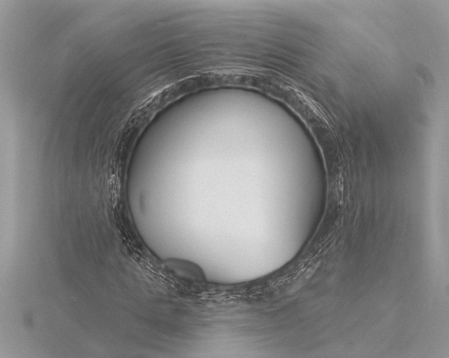 X0000116130821200912071220