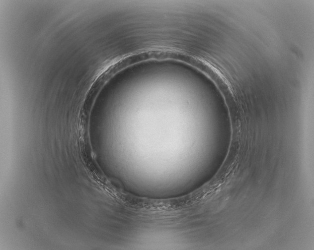 X0000116130823200912071221
