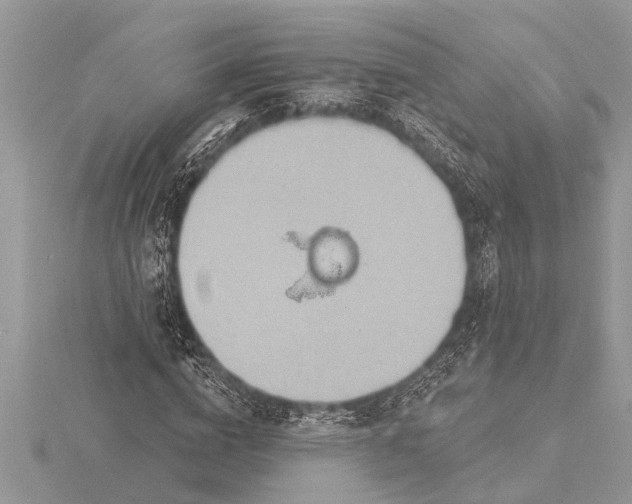 X0000116130824200912071221