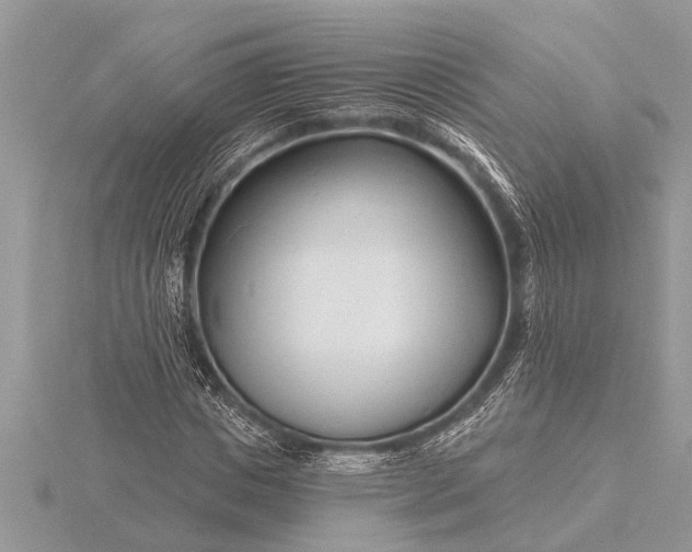 X0000116130825200912071221