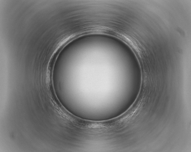 X0000116130835200912071221