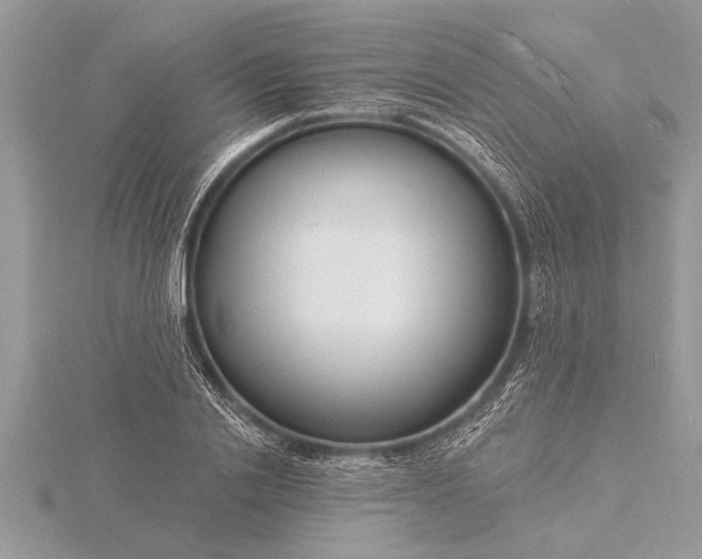 X0000116130838200912071221