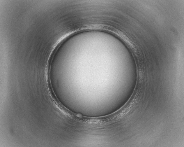 X0000116130846200912071221