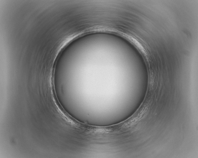 X0000116130847200912071221