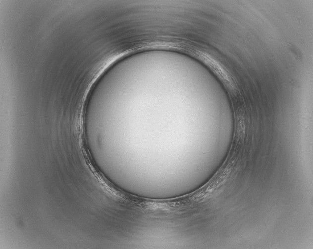 X0000116130852200912071221