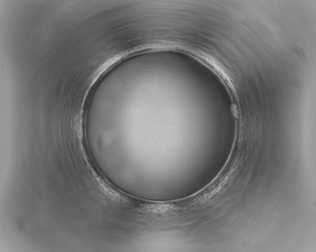 X0000116130853200912071221