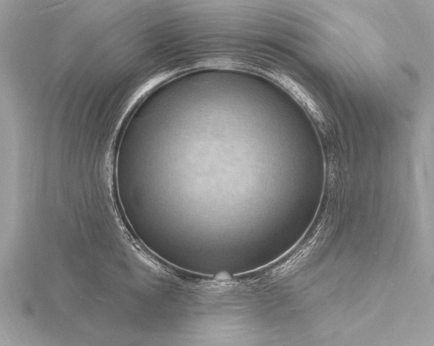 X0000116130854200912071221