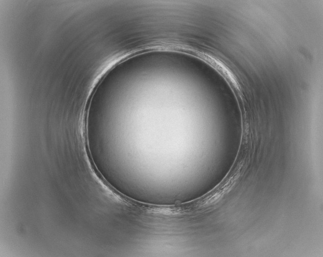 X0000116130855200912071221