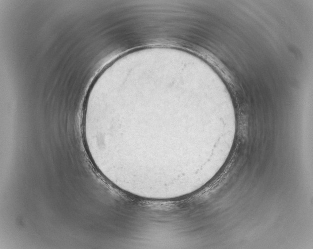X0000116130856200912071221