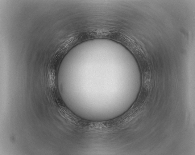 X0000116130866200912071220