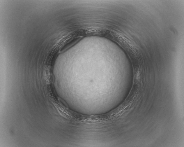 X0000116130868200912071220