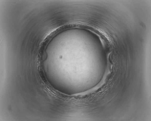X0000116130872200912071220