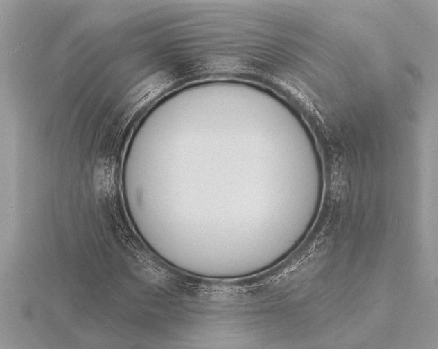 X0000116130873200912071220