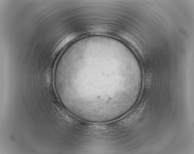 X0000116130874200912071220