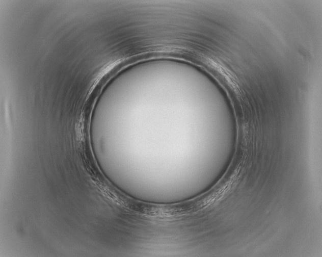 X0000116130875200912071220