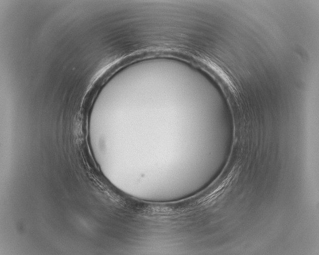 X0000116130878200912071220