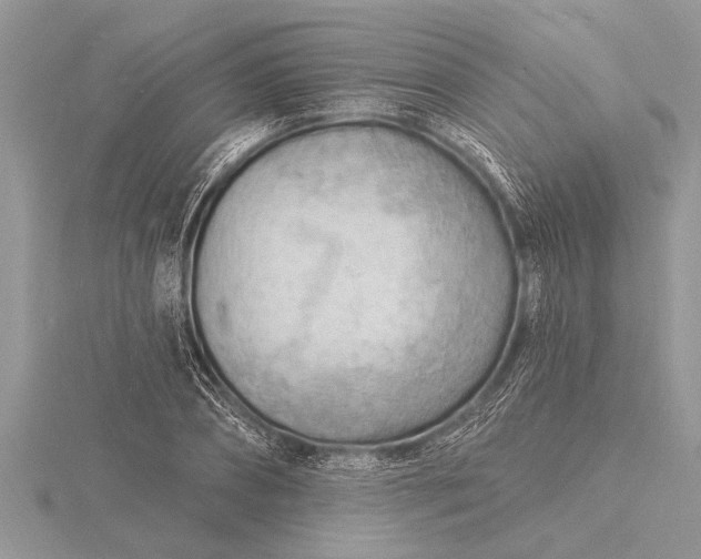 X0000116130882200912071220